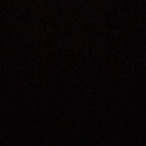 Meet your Posher, Lil